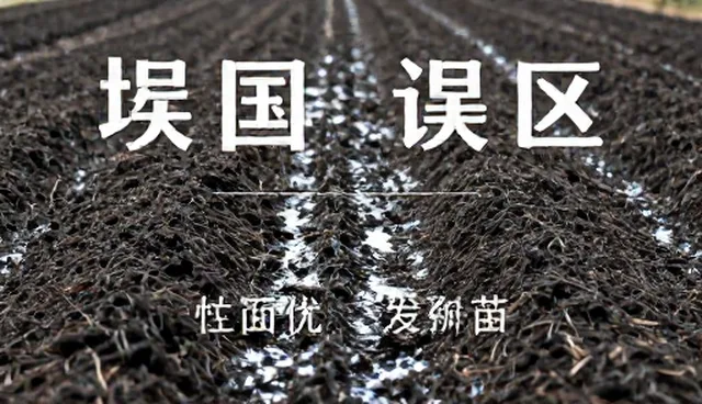 种植成本对比:种苗选择与维护的取舍分析